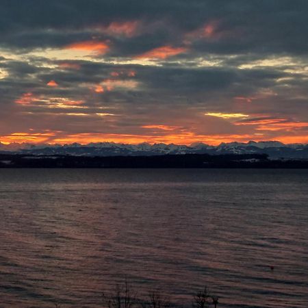 La Crique De L'Evole Διαμέρισμα Neuchâtel Εξωτερικό φωτογραφία