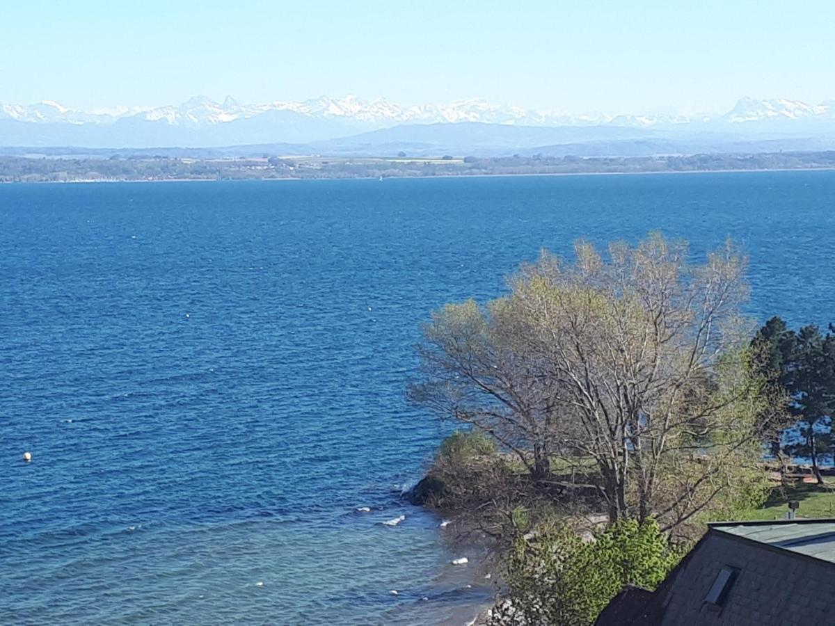 La Crique De L'Evole Διαμέρισμα Neuchâtel Εξωτερικό φωτογραφία
